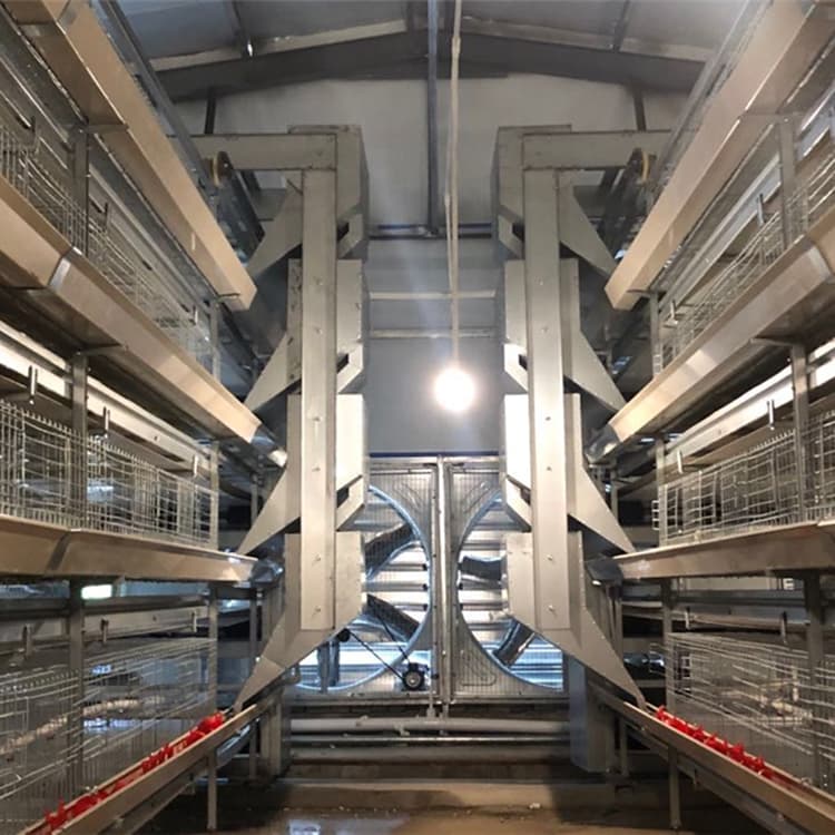 Compact layer cage system for small farms