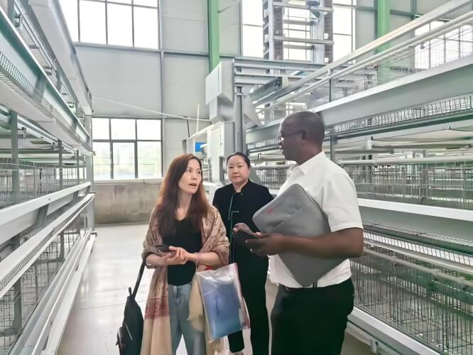 Automated broiler heating and cooling system