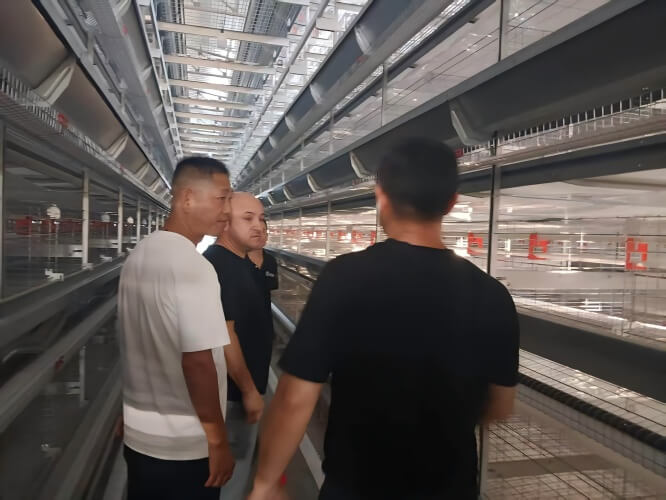 Galvanized broiler cage housing installation