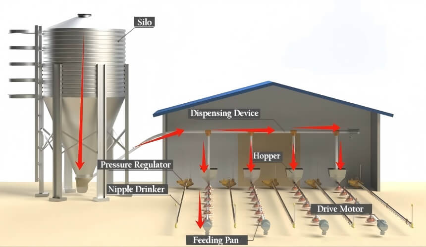 Broiler feeding line near me