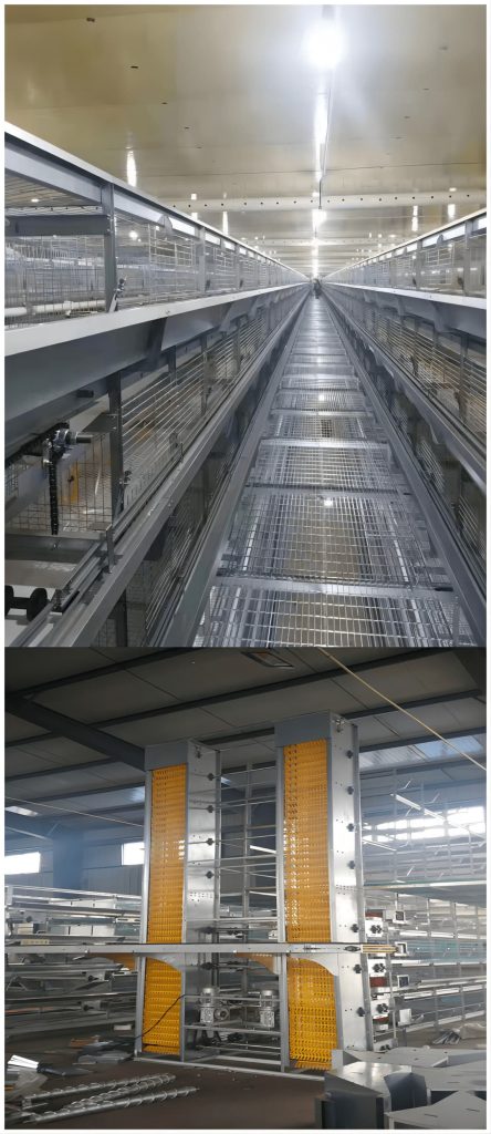 Layer cage system price list