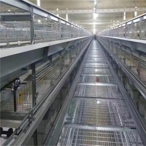قائمة أسعار نظام أقفاص الدجاج البياض