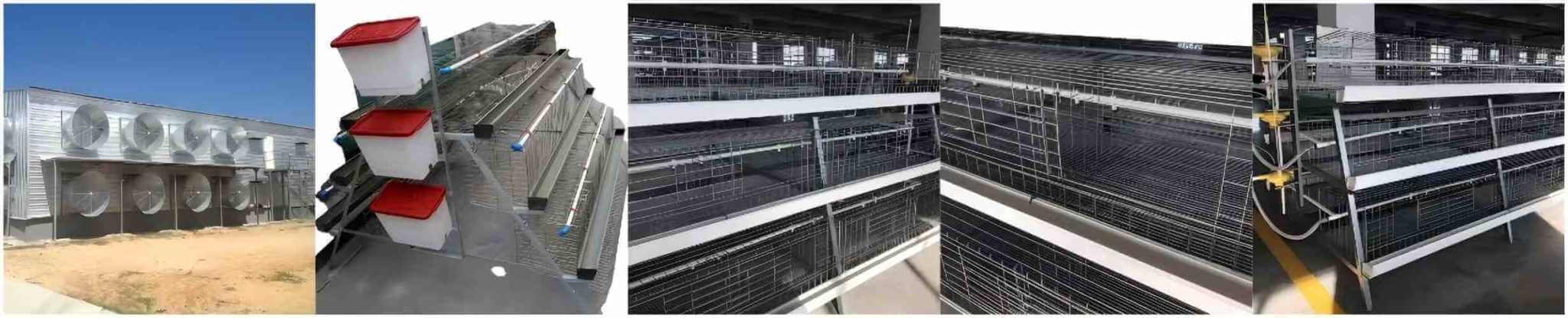 Constructing Automated Chicken Farms and Poultry Rearing Facilities: You need to build an automated chicken farm and poultry rearing facility, and factories in China can manufacture and install intelligent livestock and poultry farming equipment for you.
