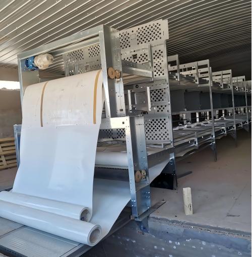 يورد مصنعنا أنظمة أقفاص الرفاهية الأوروبية ومعدات الدجاج البياض مباشرة إلى المزارع في جميع أنحاء العالم، مع أسواق تصدير تمتد إلى الاتحاد الأوروبي وآسيا والأمريكتين وما وراءها. وهذا يبسط عملية شراء المعدات والتحديث إلى أنظمة خالية من الأقفاص مع ضمان الامتثال للوائح التنظيمية.