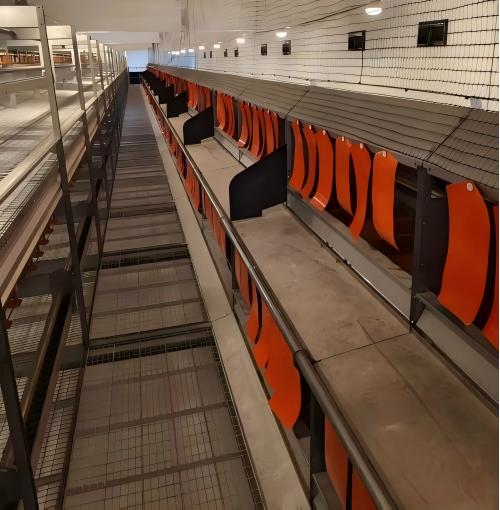 تماشى نظام أقفاص رفاهية الدجاج مع اتجاهات رفاهية الحيوانات في أوروبا، ومجهز بأنظمة أوتوماتيكية كاملة للتغذية، وتزويد المياه، وجمع البيض، وإزالة الروث، مع تحكم ذكي بالبيئة، ويقدم خدمة متكاملة من تصميم بيت الدجاج وحتى التركيب والتشغيل التجريبي.